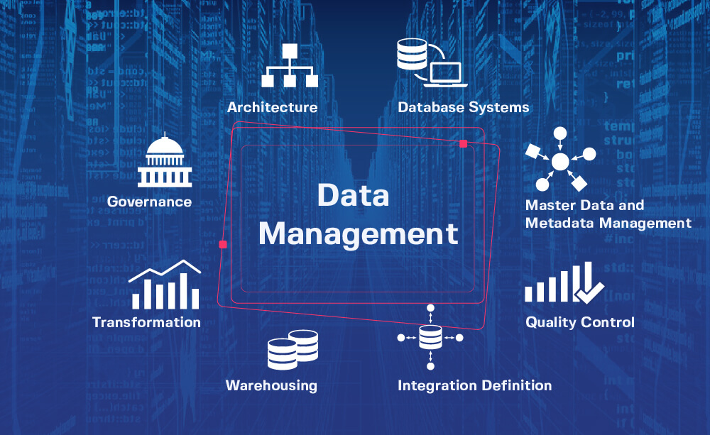 Ngành Quản lý dữ liệu (Data management)